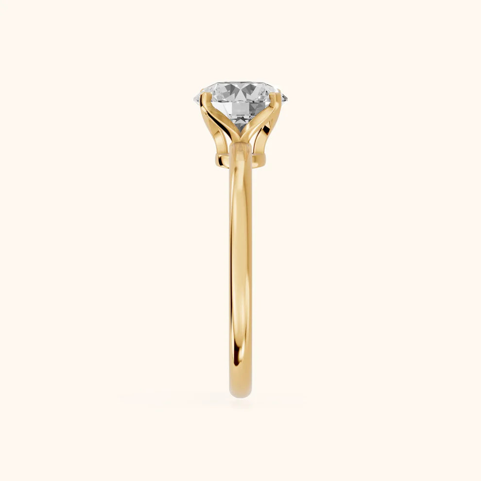 Round Cut Solitaire Engagement Ring Lab Grown Diamond And Moissanite